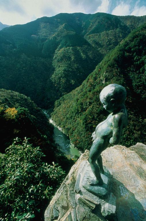 ホテル 大歩危祖谷阿波温泉 あわの抄 三好市 エクステリア 写真